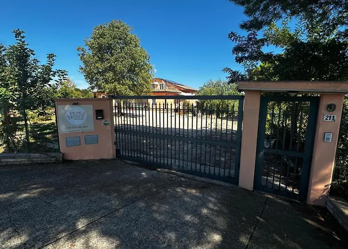 Pepe RosaBed and Breakfast